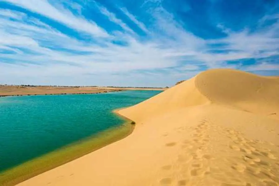 Excursión al Desierto y Oasis de Fayoum