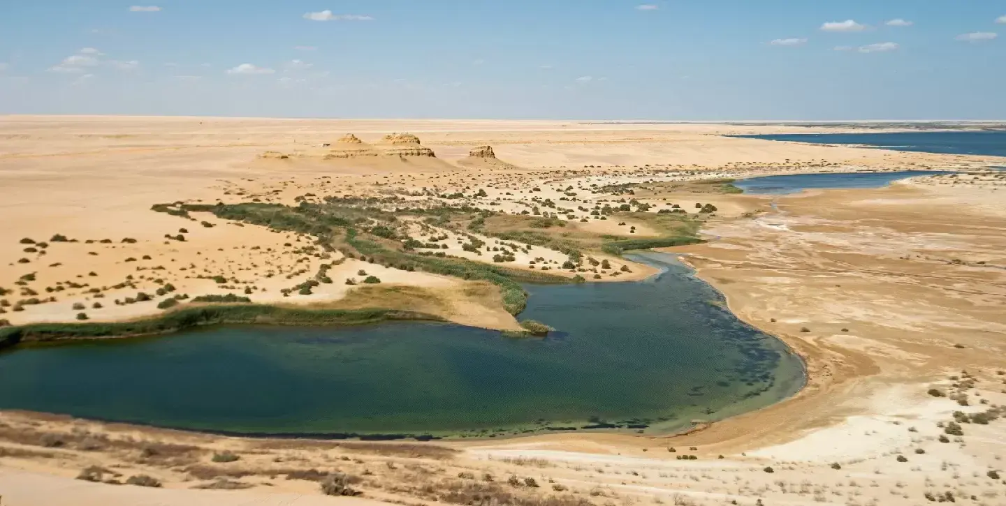 Excursión al Desierto y Oasis de Fayoum