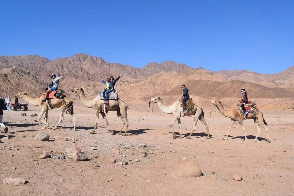 Excursión 5 en 1 Discovery Dahab