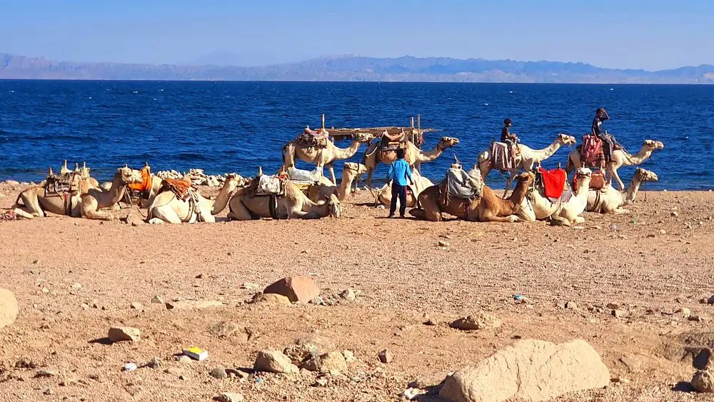 Excursión 4 en 1 al cañón Salama en Dahab